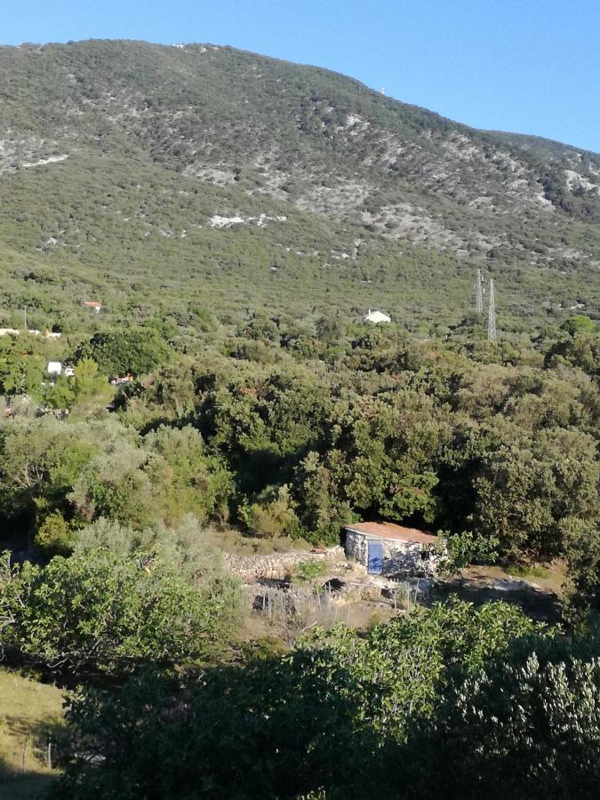 Apartman Mi Nerezine Exteriér fotografie